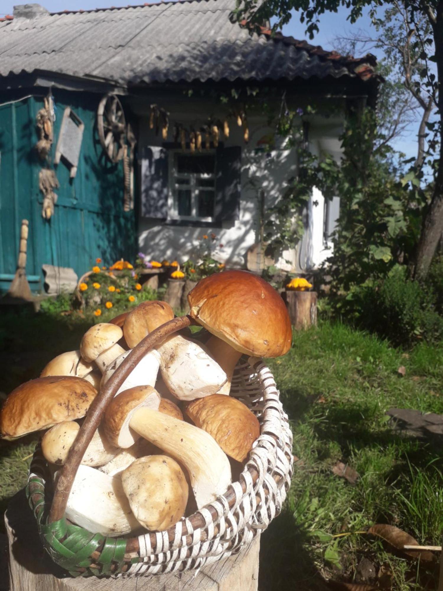 Медова Садиба Subbotiv Værelse billede